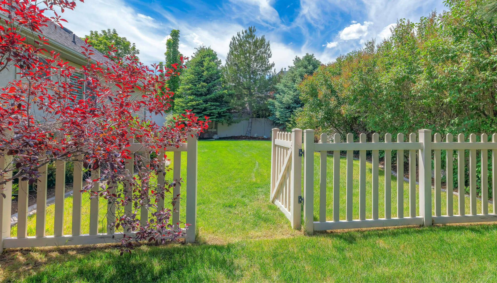 A functional fence gate providing access to a well-maintained backyard, surrounded by a wooden fence in Fresno